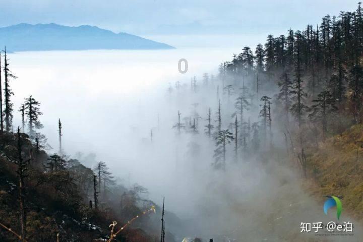 拯救精灵的土地7