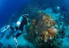 奥浦迈26日限售股出借余量为11.34万股
