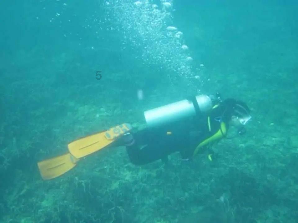 怎样才能成为一个好老师？游戏画面