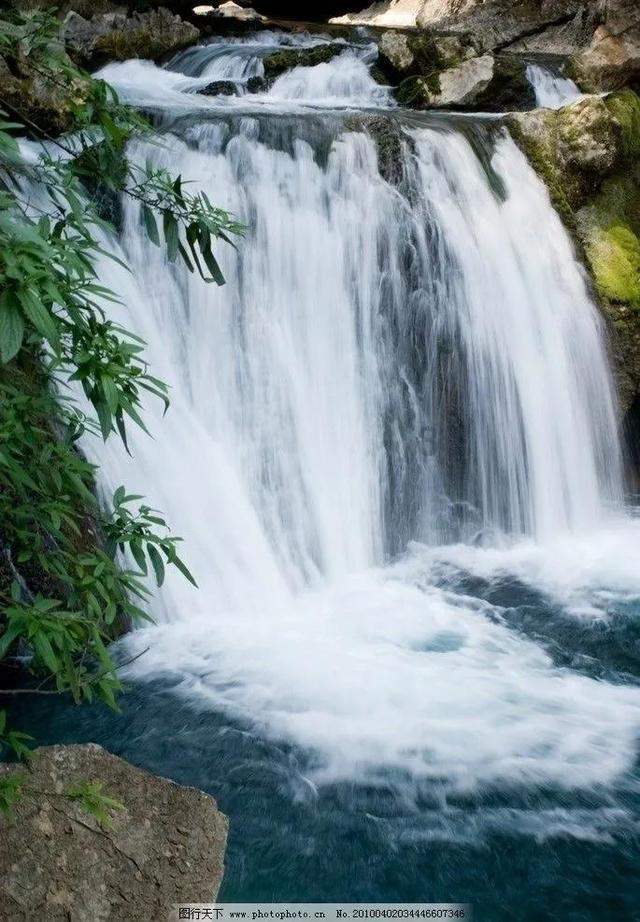 泡沫森林