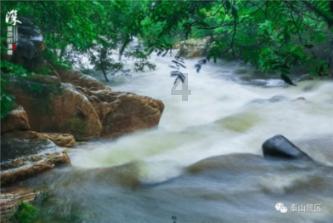 茶氨酸对人体有什么好处?知识星球-知识分享与学习平台