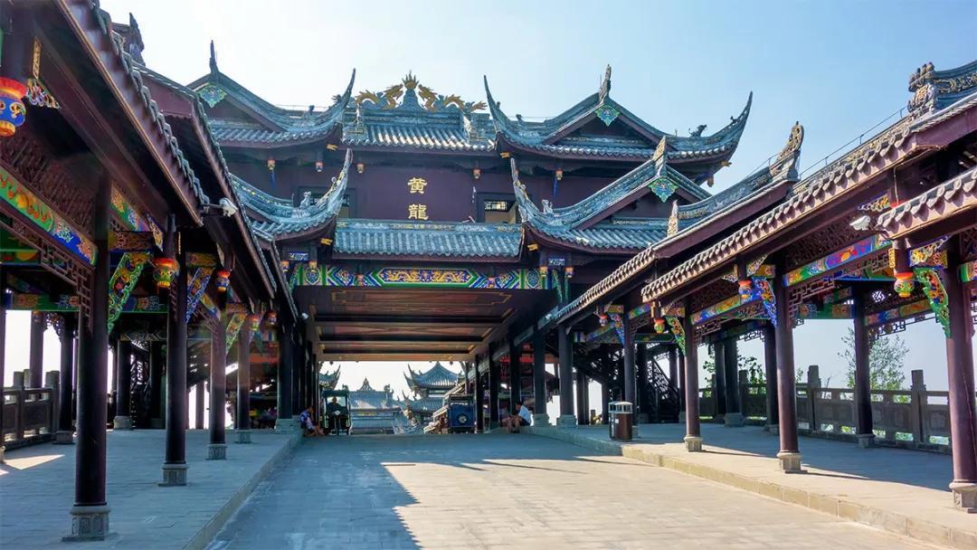 饥饿的哈利